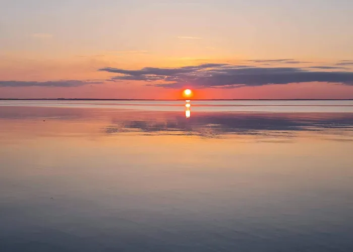 Luxury Pool House Near - By Traum Holiday home Nordborg